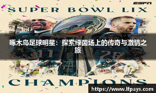 啄木鸟足球明星:探索绿茵场上的传奇与激情之旅